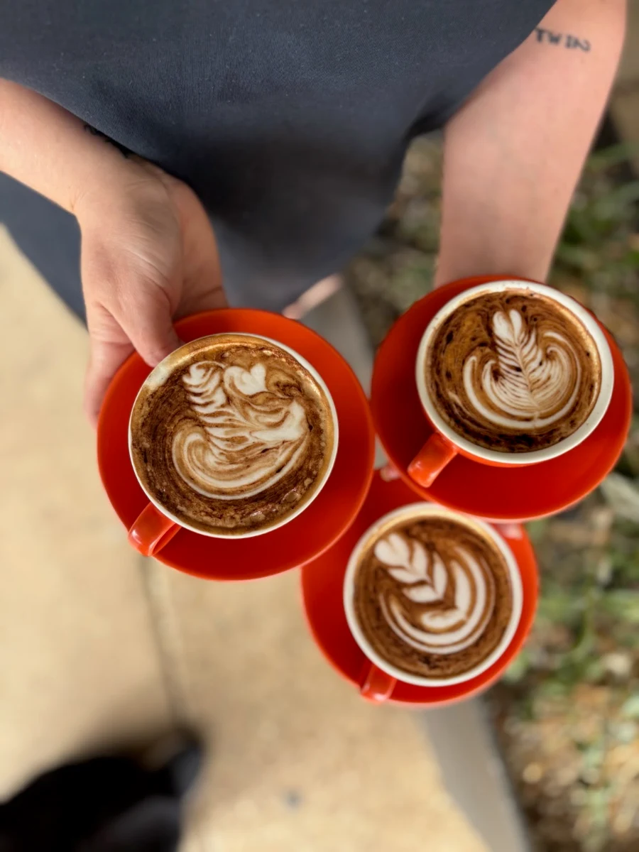Food & drink, Mock Orange Cafe