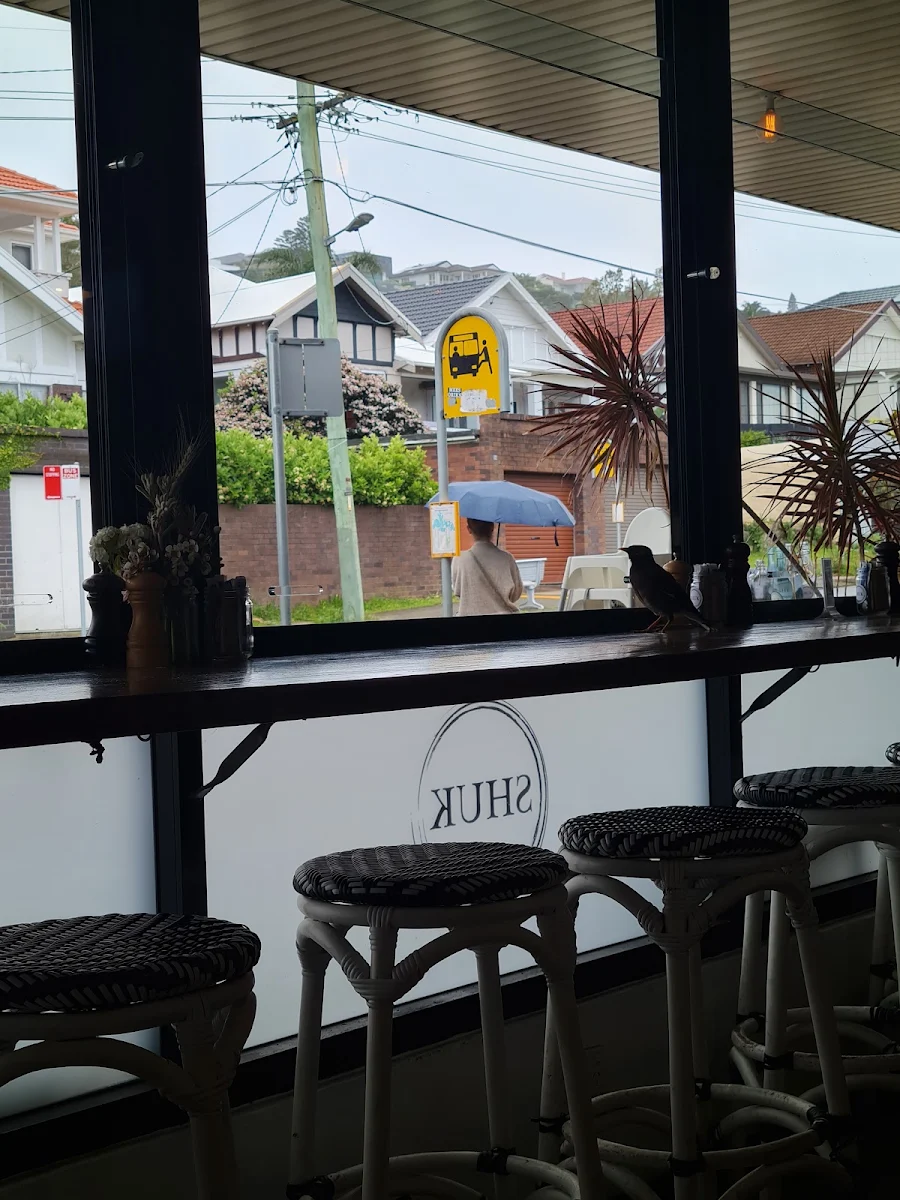 Vibe, Shuk Bondi