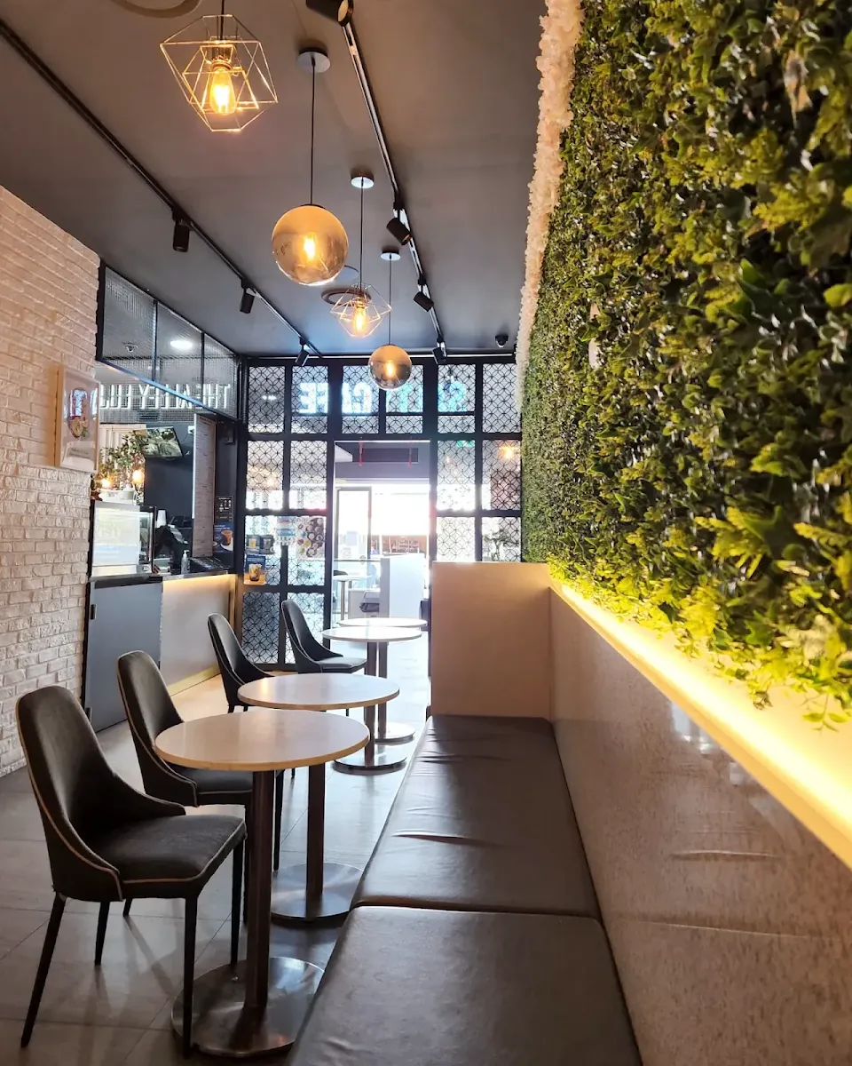 Vibe, SALTY CAFE