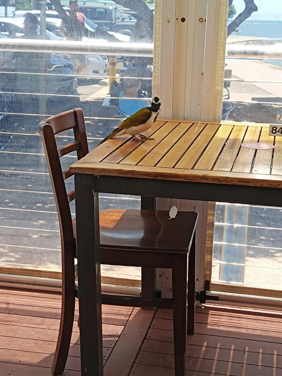 Vibe, The Lighthouse Restaurant