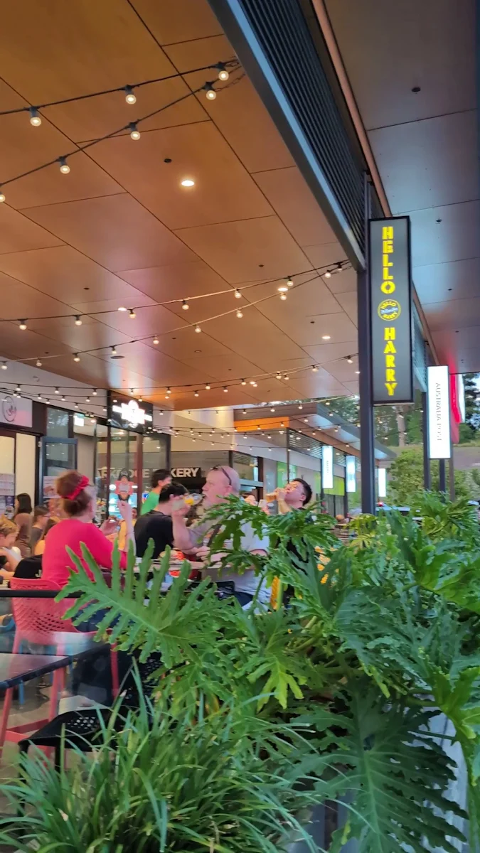Vibe, Hello Harry The Burger Joint (Park Ridge)