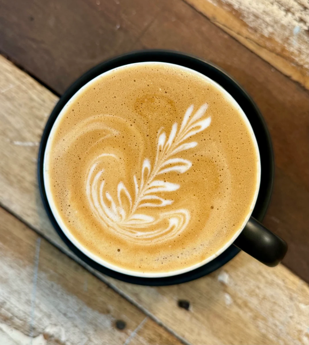 Food & drink, The Organik - Cafe - Store - Living