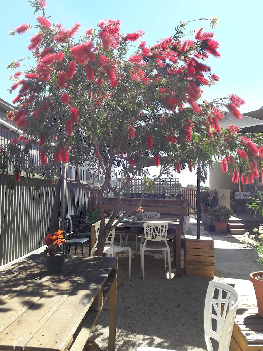 Vibe, The Coffee House