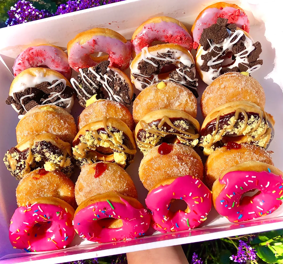 Highlights, Cakeboy Donuts