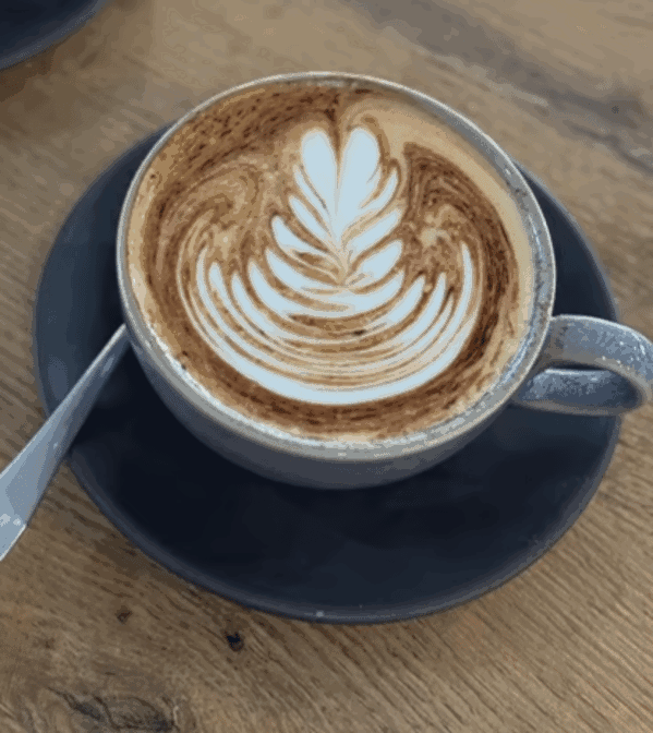 Highlights, 12 Square Cafe