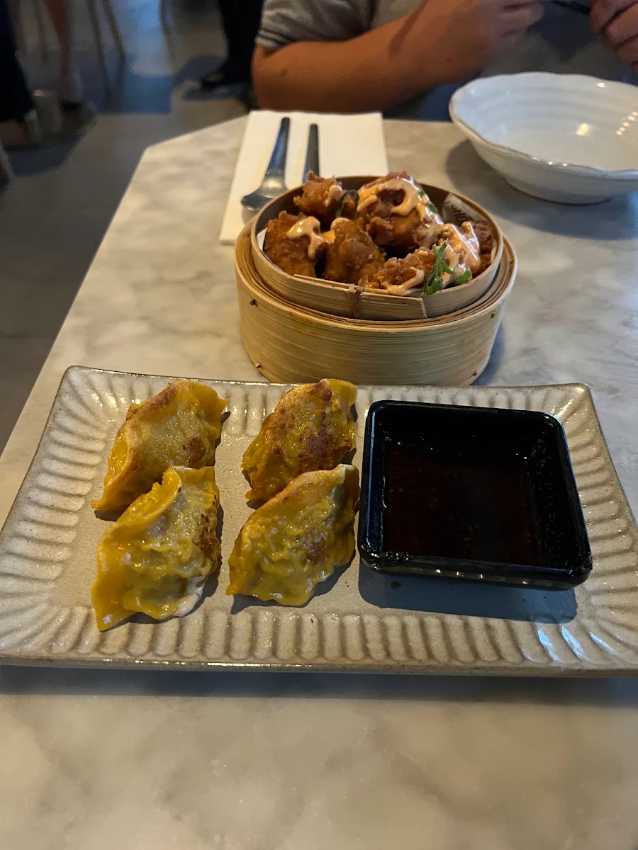 Pork Dumplings