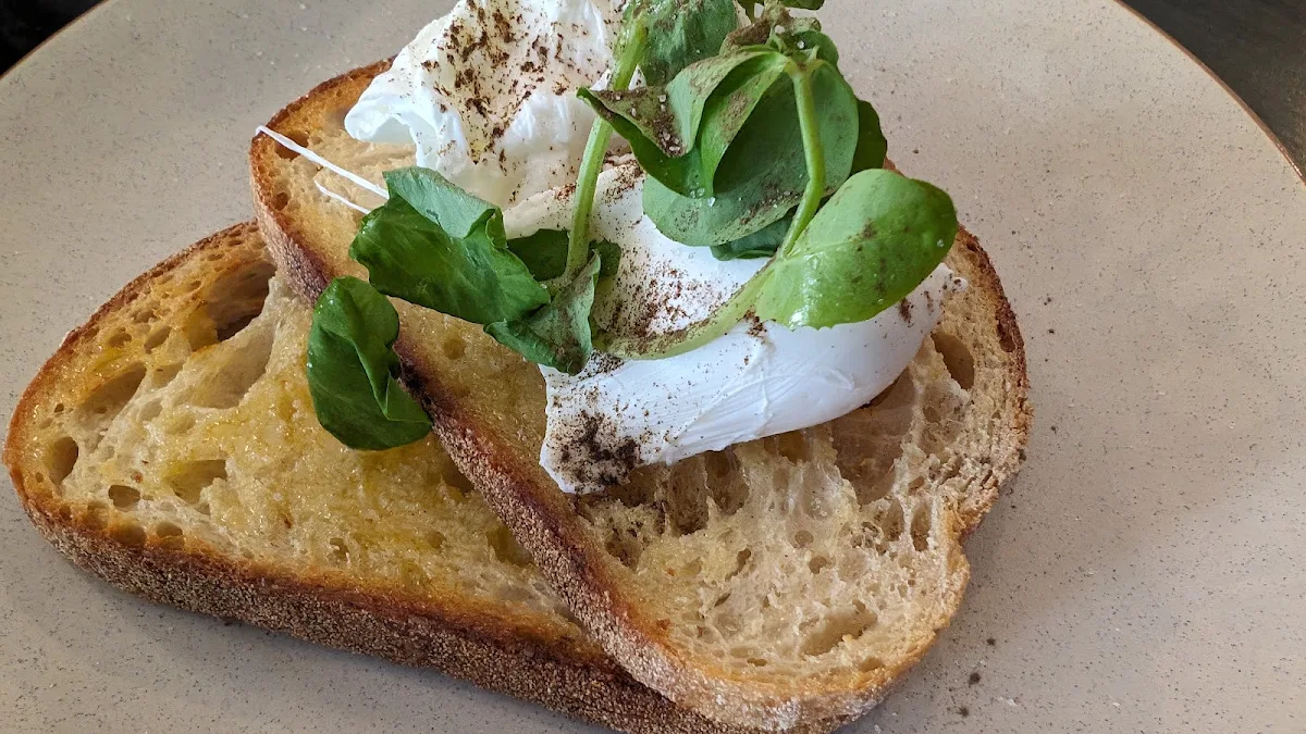Poached Egg on Toast