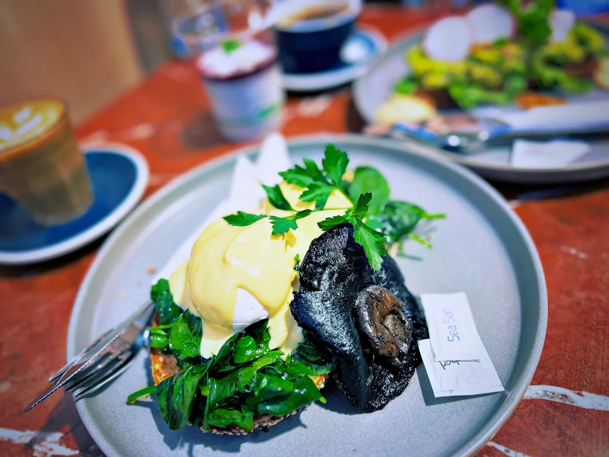 Highlights, Paradox Coffee Gold Coast Airport