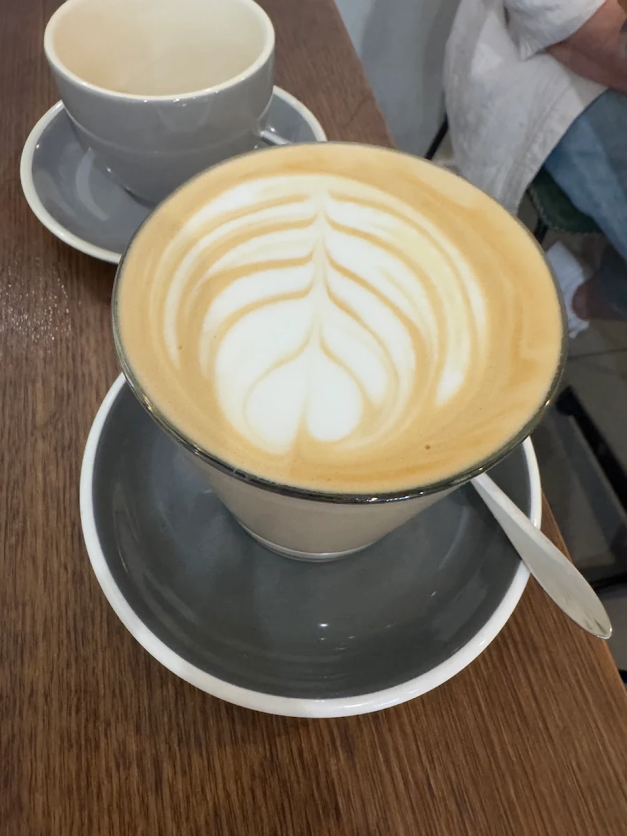 Flat White, Fed