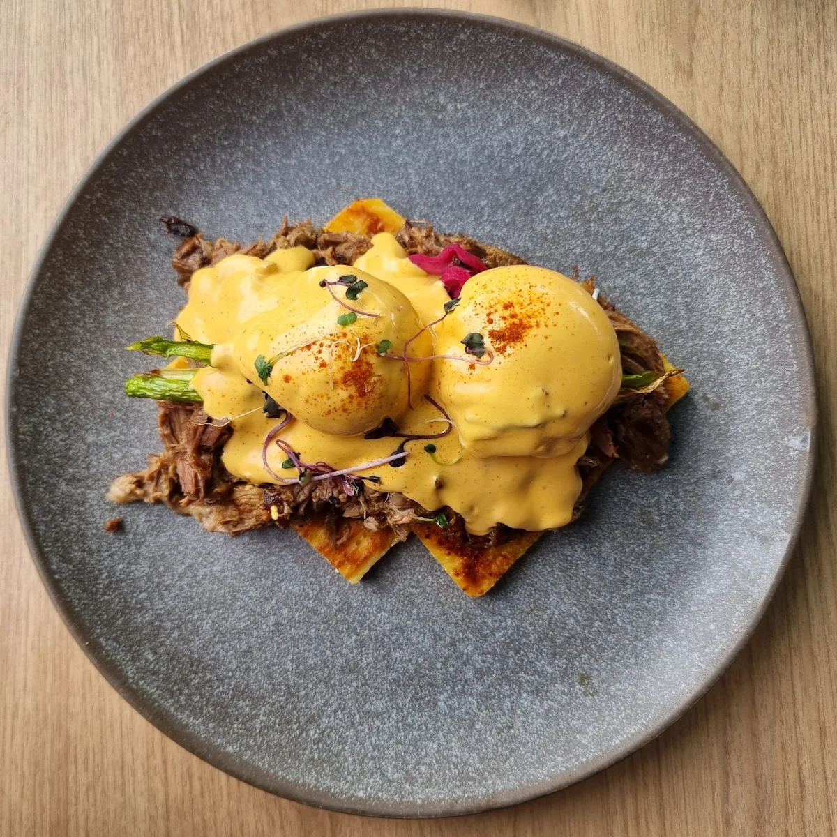 Lamb Benedict, Fed