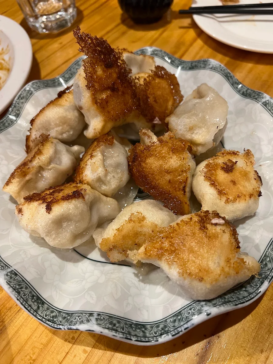 Pan-Fried Pork Dumplings