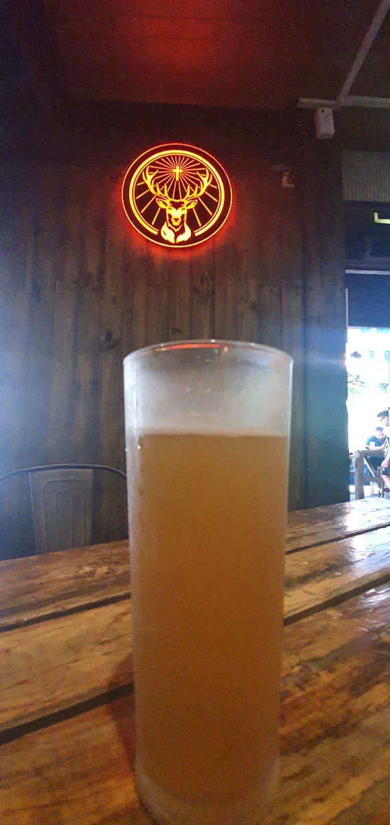 Highlights, Woolshed on Hindley