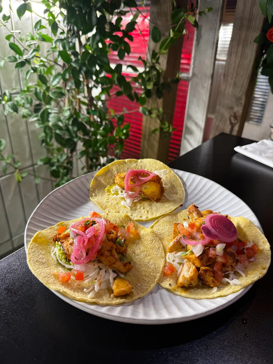 Fish and Chicken Tacos