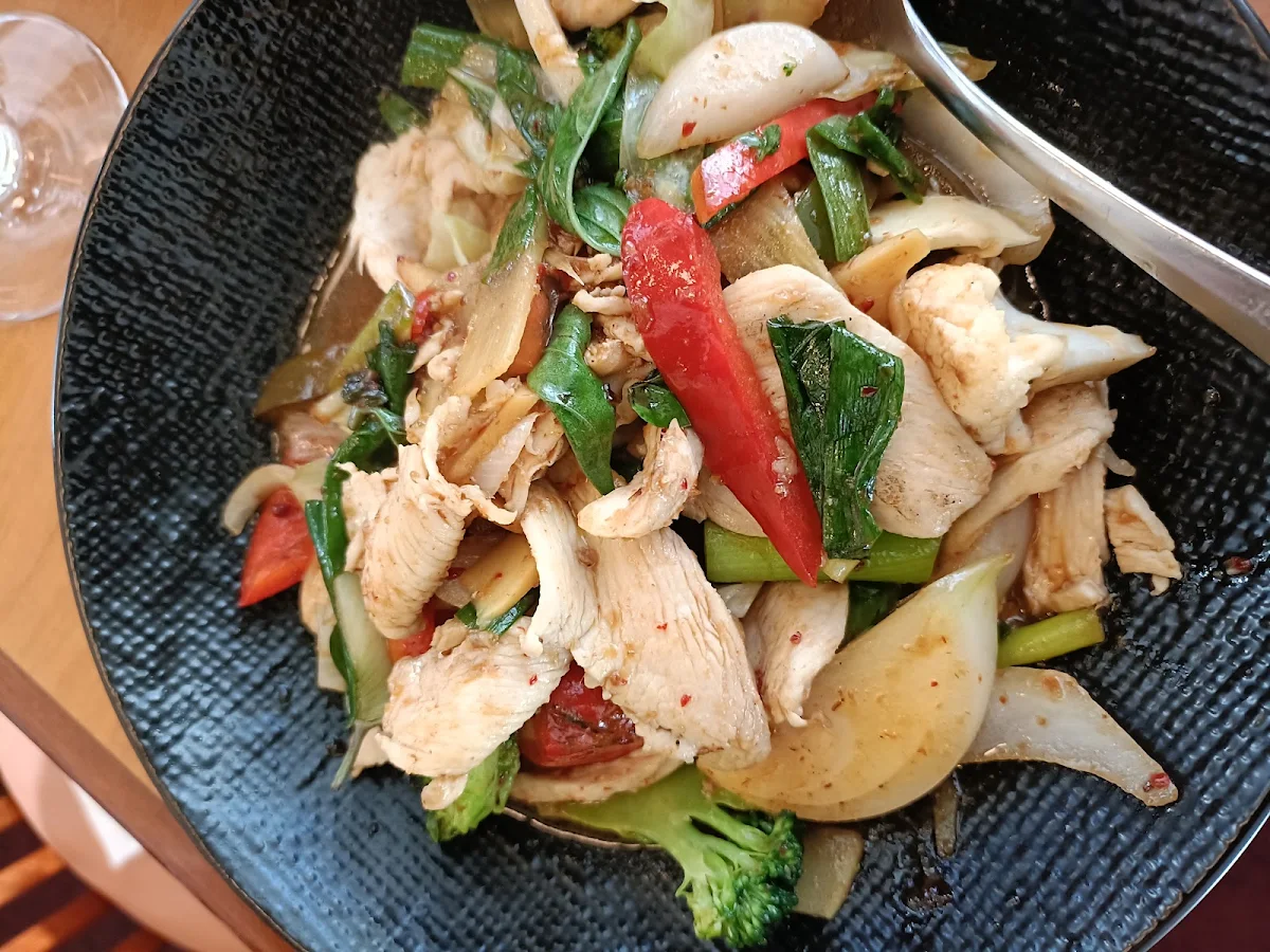 Basil Chicken, Thai Orchid Restaurant