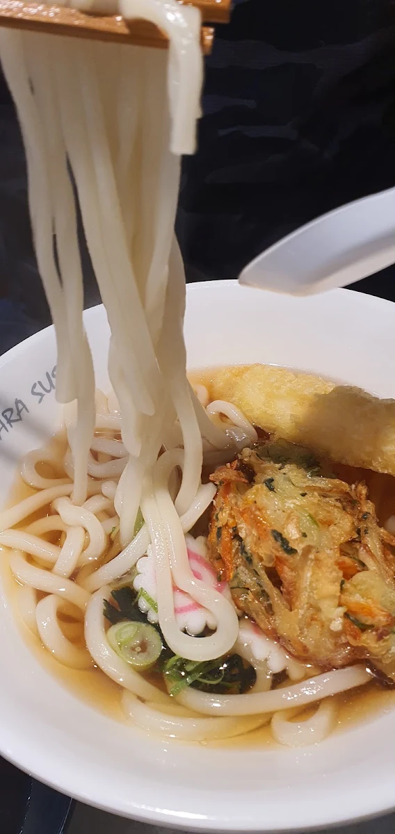 Udon Noodle Soup