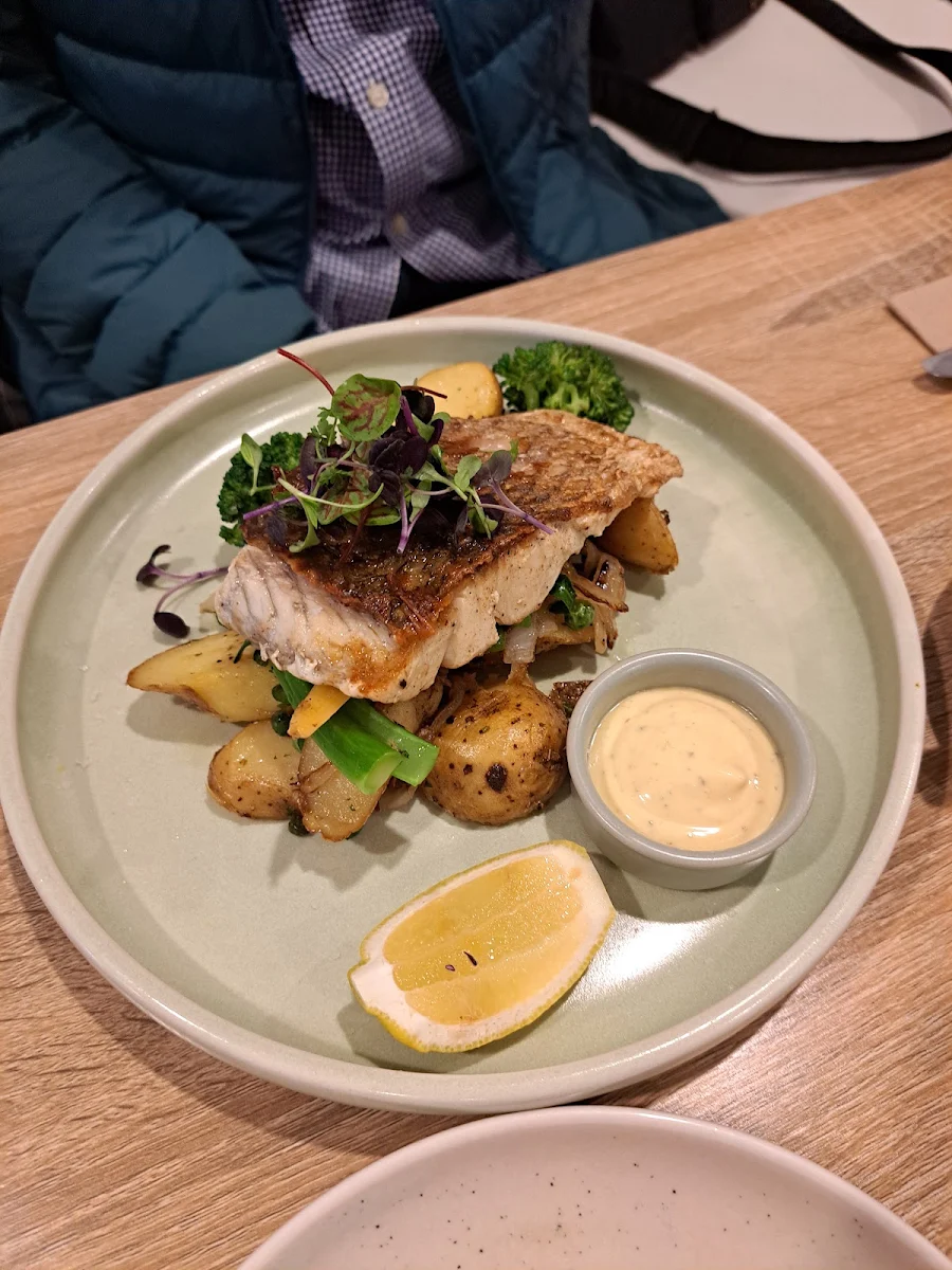 Fish, The Buoys Nelson Bay - Restaurant, Cafe And Bar