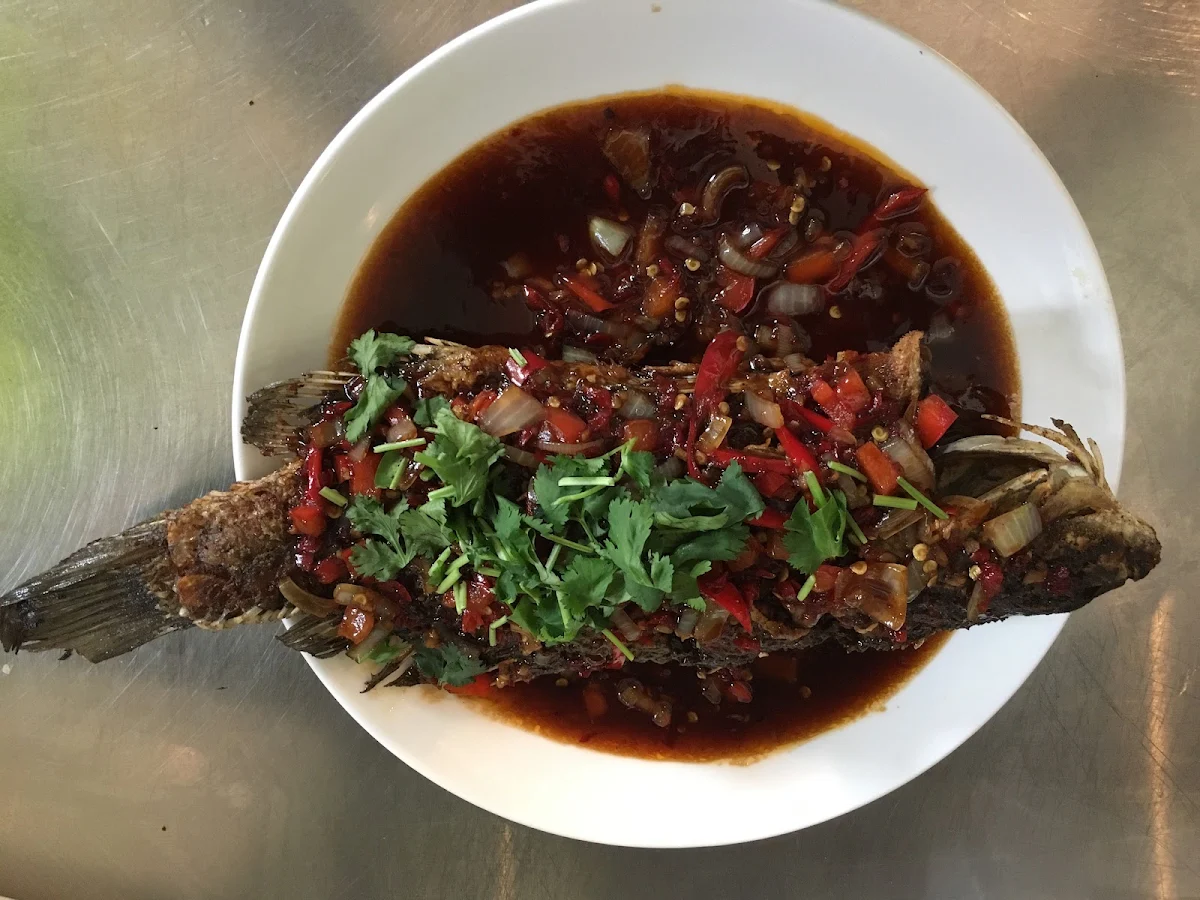 Highlights, Yim Thai Gloucester