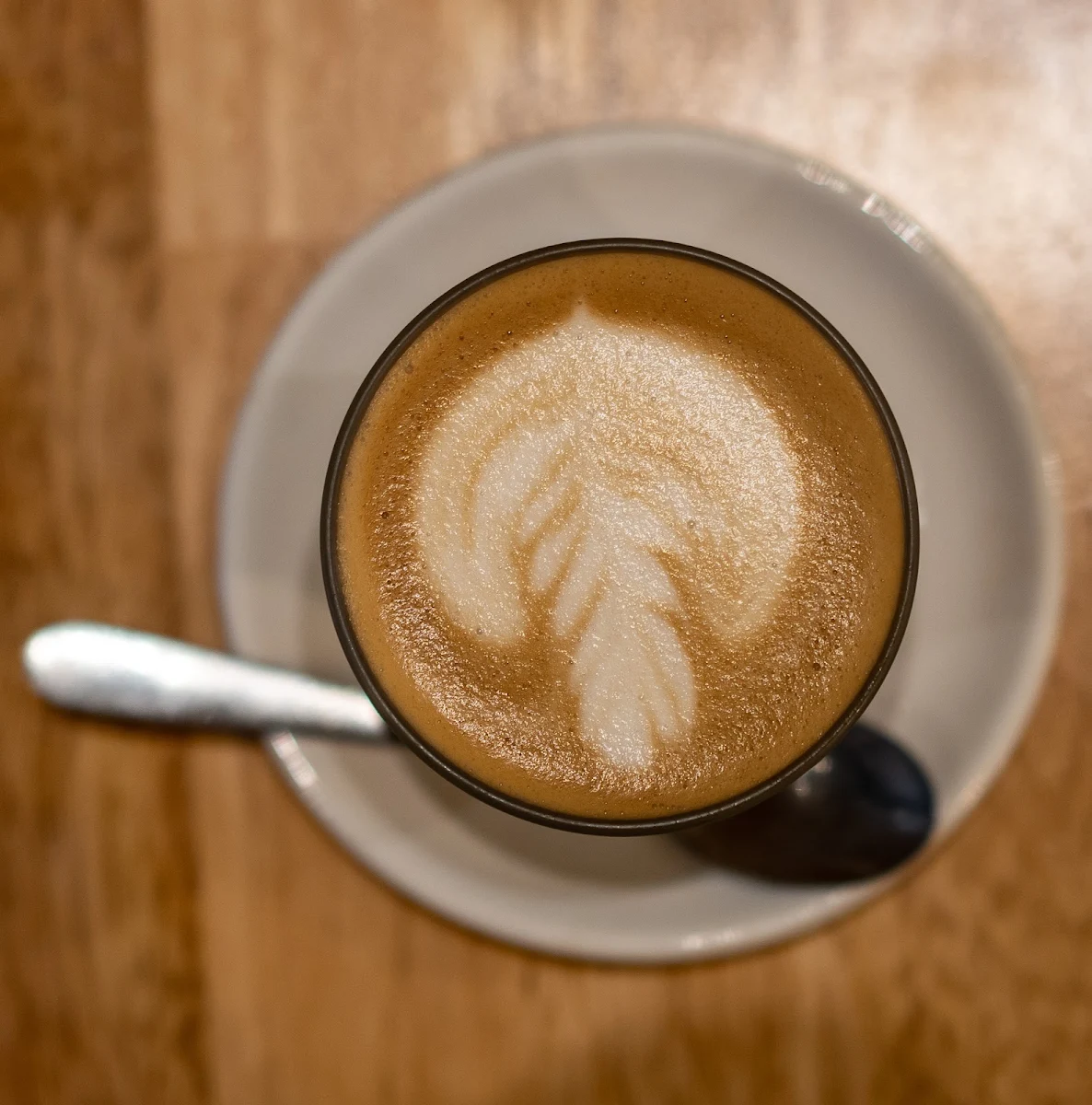 Flat White, Sippy Tom