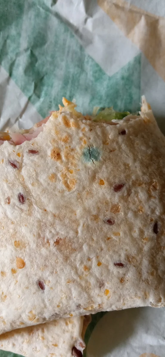 Chipotle Quesadilla, Subway