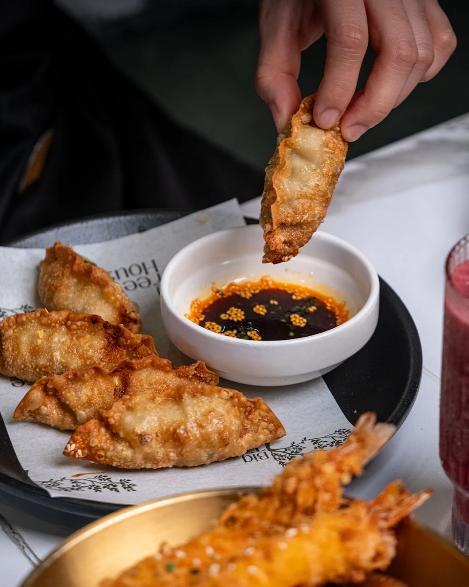 Fried Dumplings
