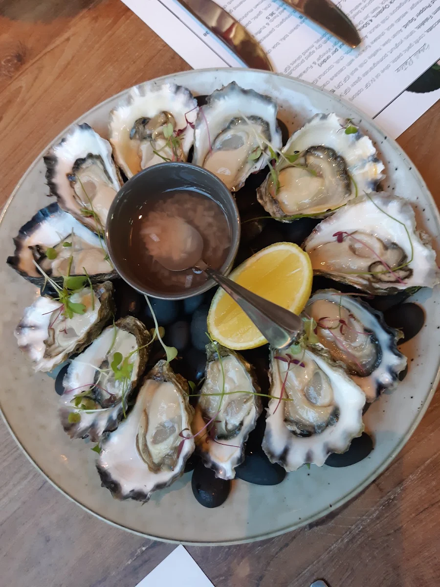 Fresh Oysters