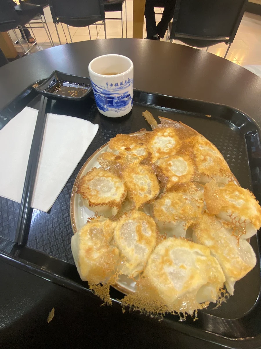 Fried Dumplings, MISS ZHOU’S DUMPLING’S