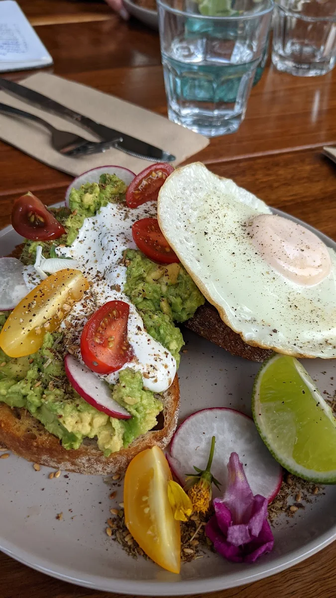 Egg, The Island Surf & Espresso
