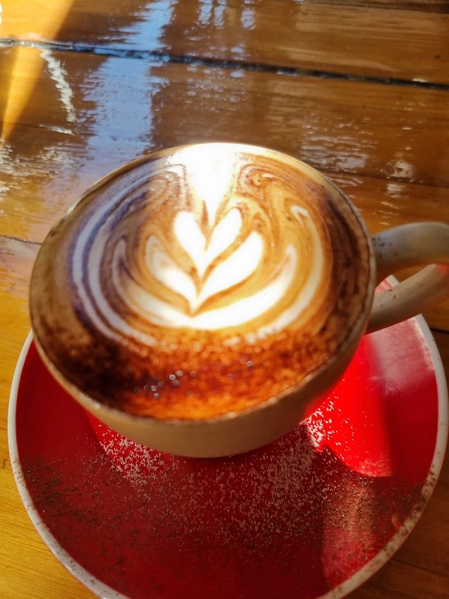 Cappucino, Alley Cat Coolum Beach