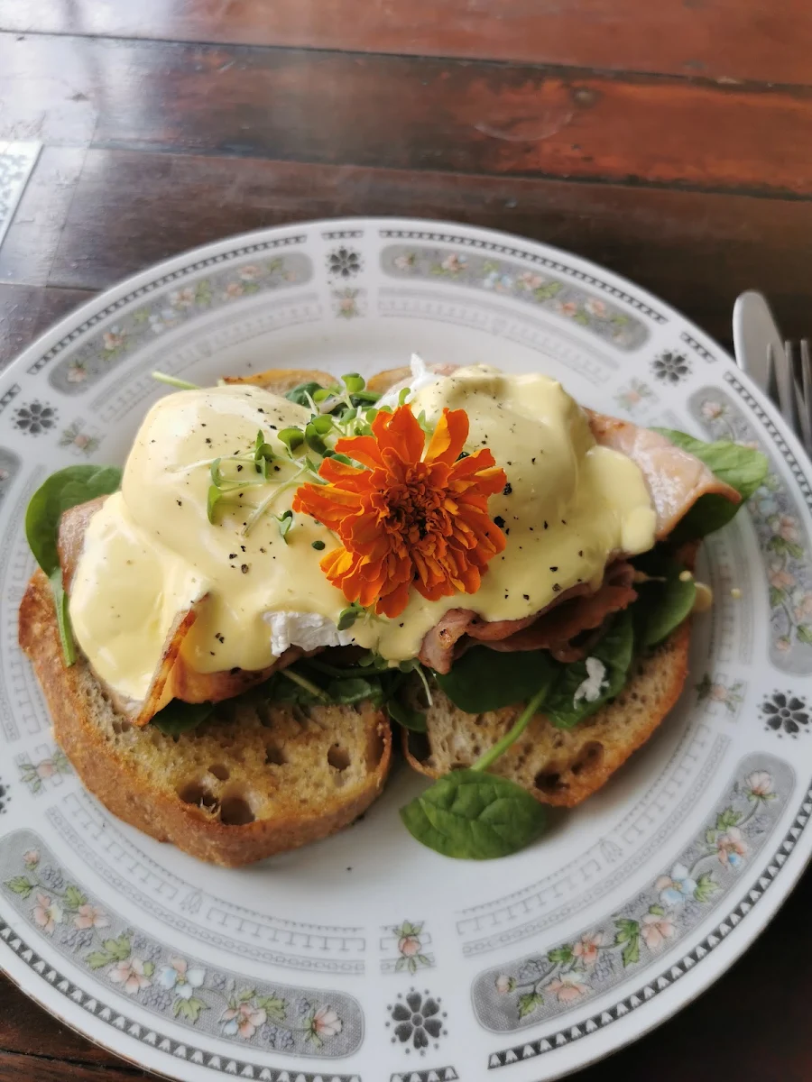 Eggs Benedict, Alley Cat Coolum Beach