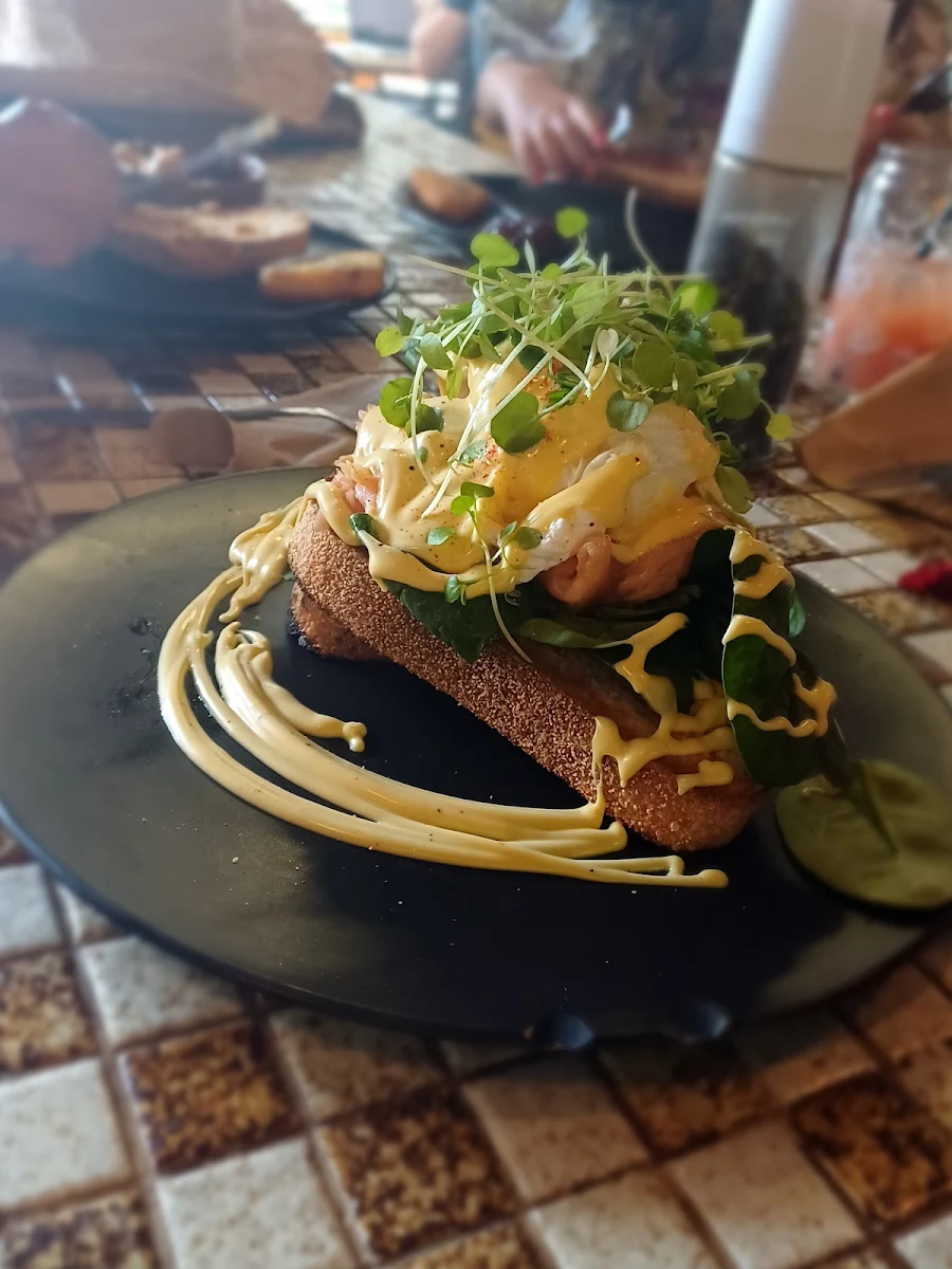 Highlights, Alley Cat Coolum Beach