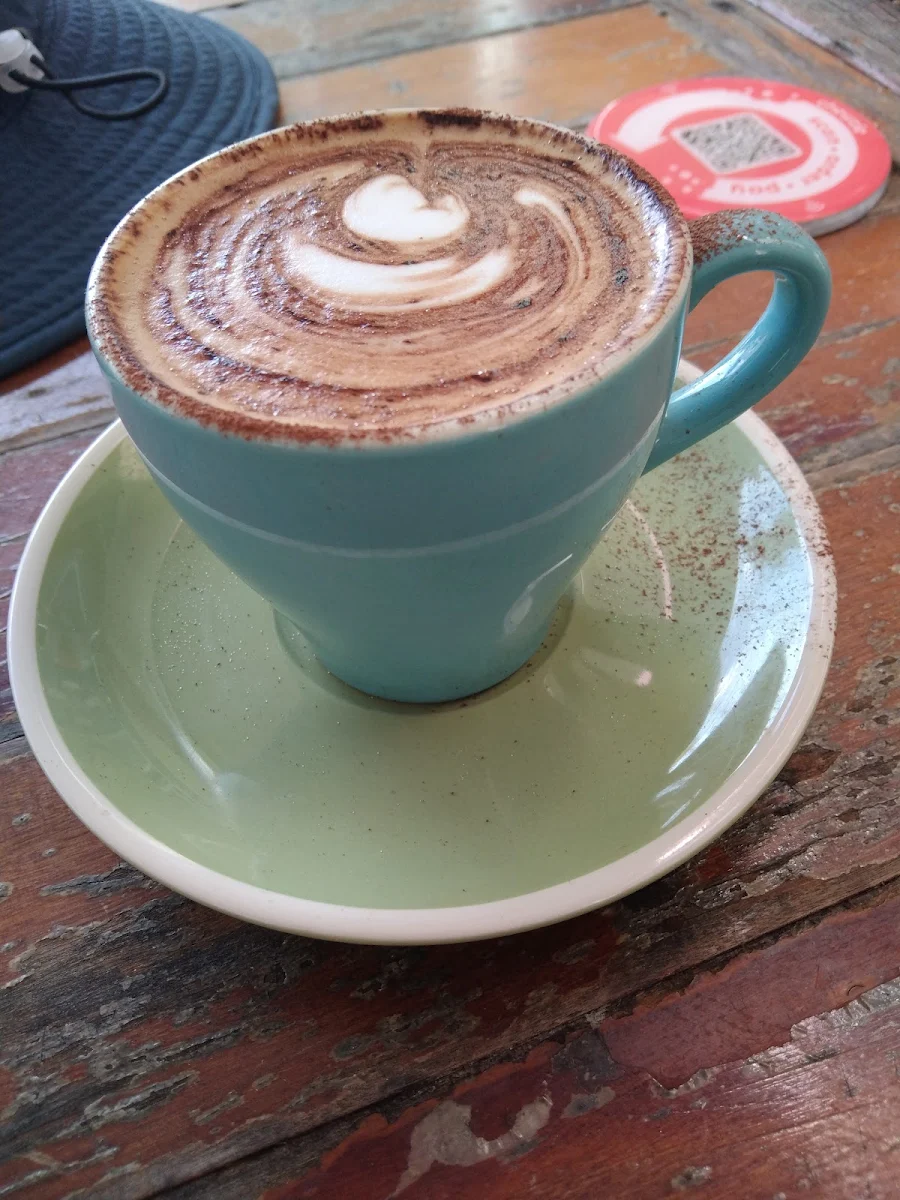 Small Skim Cappuccino, Alley Cat Coolum Beach
