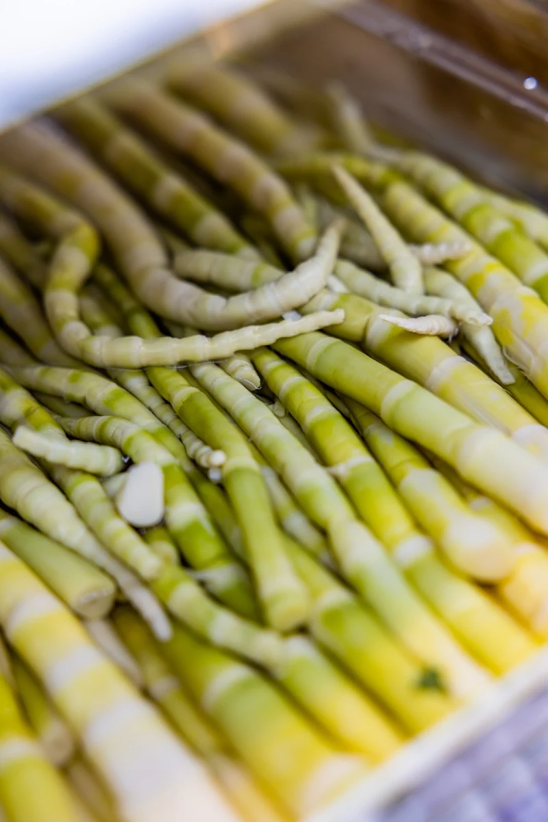 Bamboo Shoots