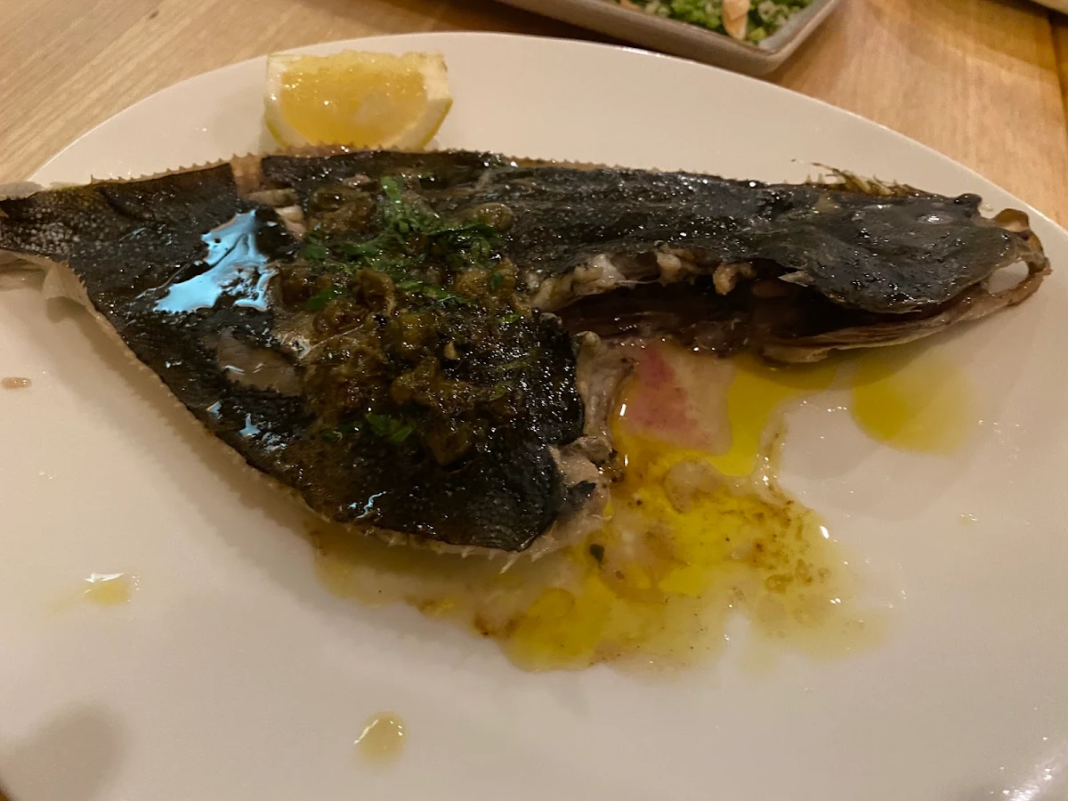 Flounder, Sodafish