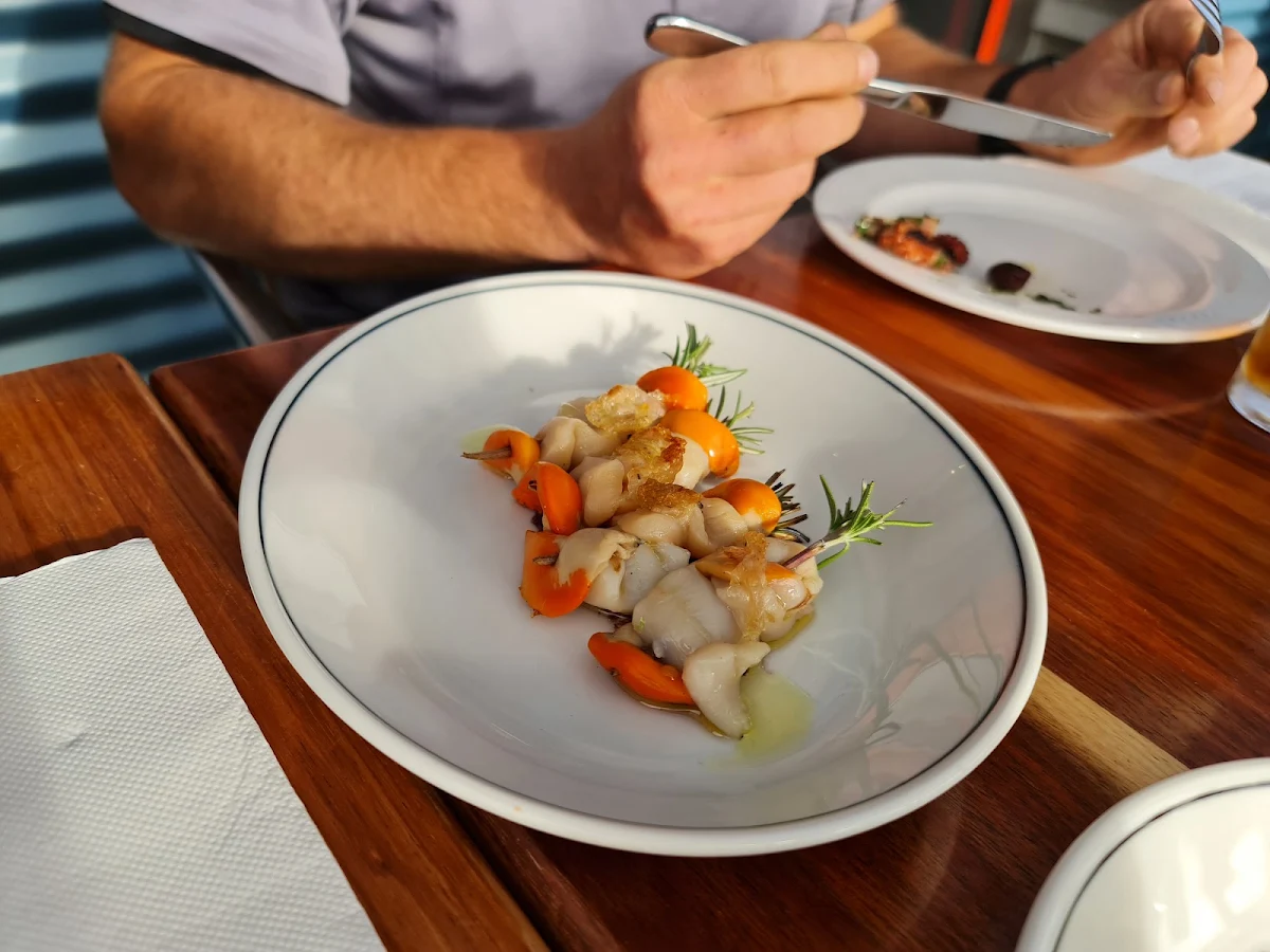 Scallops, Sodafish