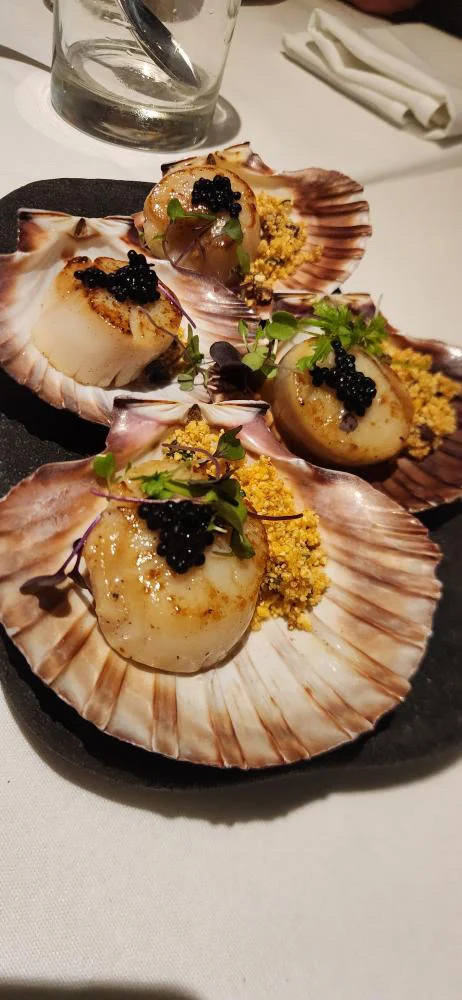 Seared Scallops, Taverna