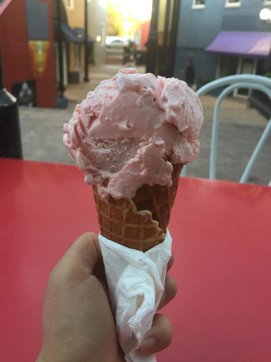 Highlights, Freo Icecream & Waffles