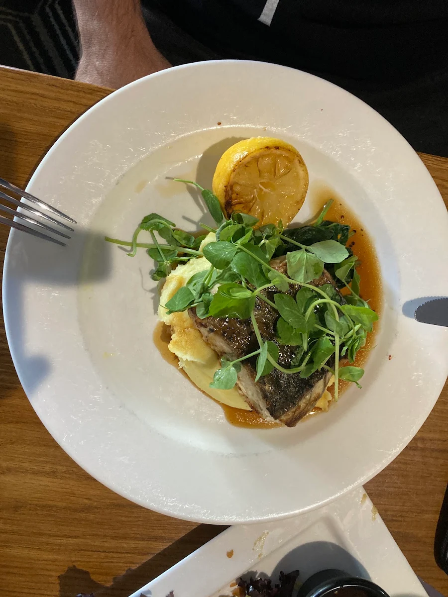 Barramundi, The Royal Hotel QBN
