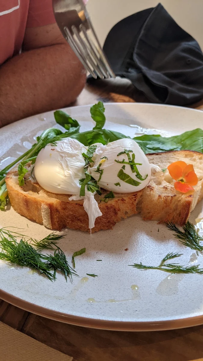 Organic Poached Eggs 15 on Toasted Sourdough GFO