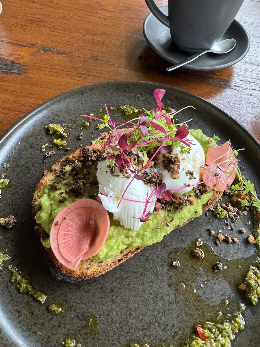 Avocado Toast, Saddles Mount White