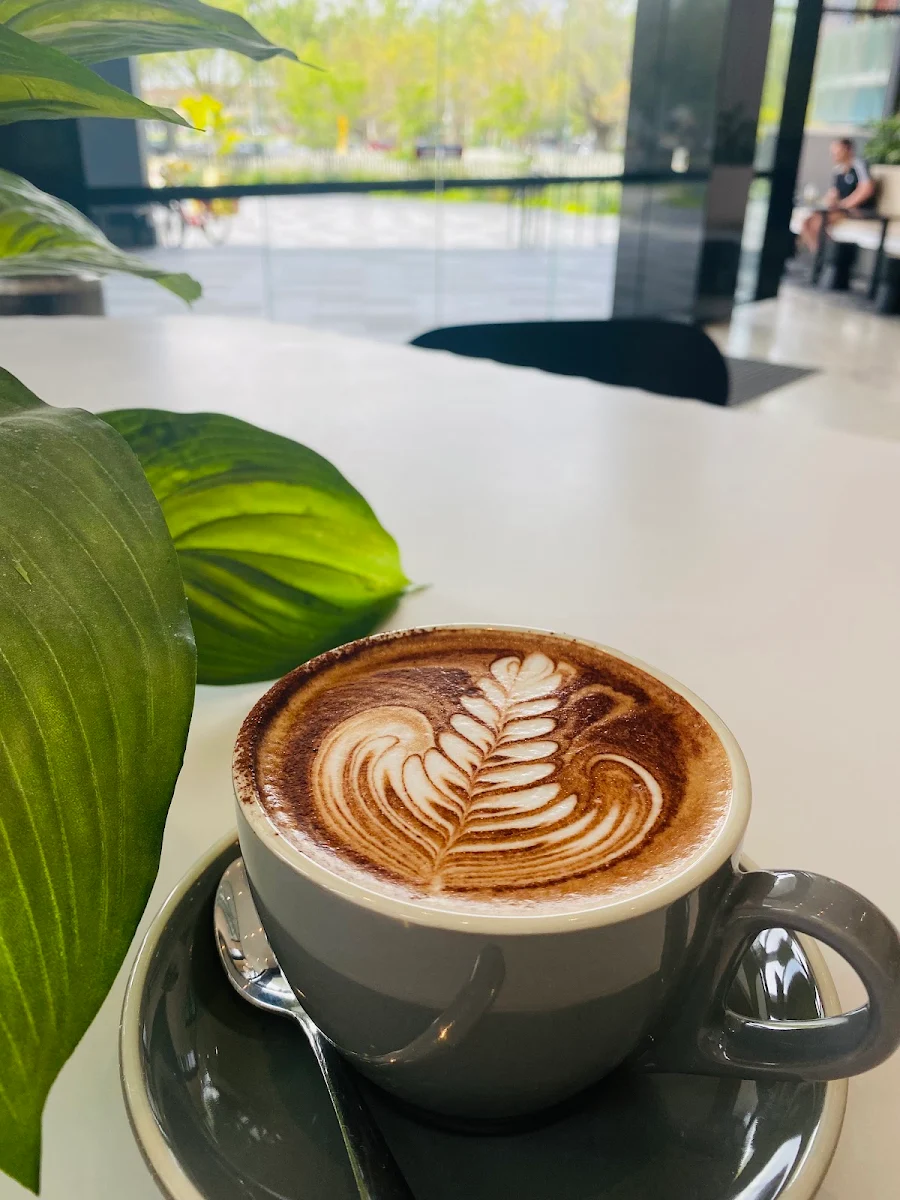 Highlights, Coffee Society
