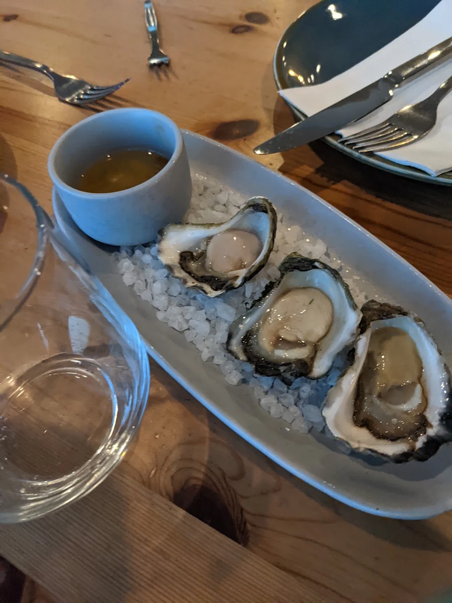 Oysters
