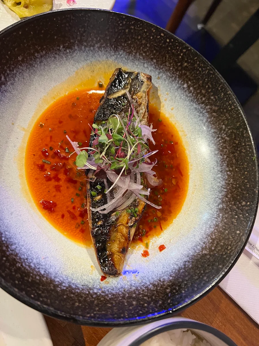 Saba Fish
