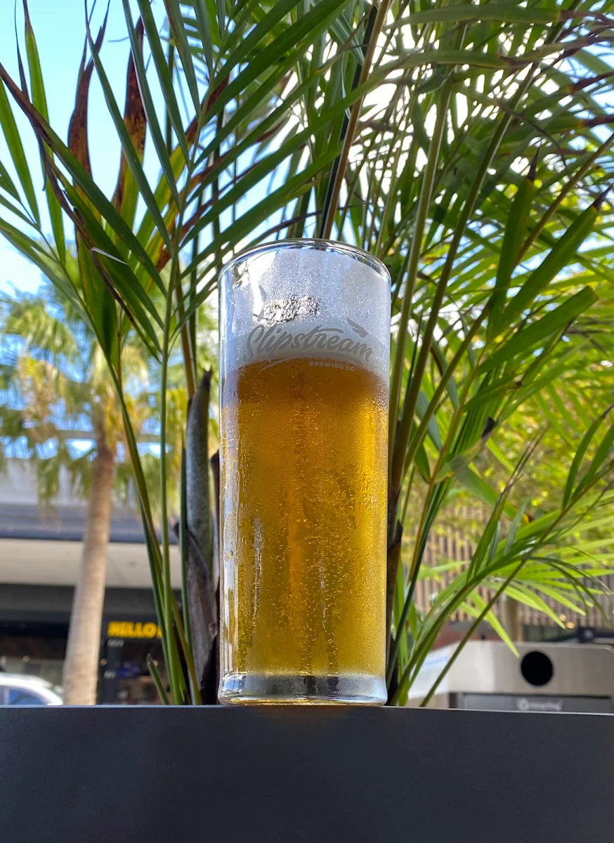 Leafy Greens, Slipstream Brewing Social House