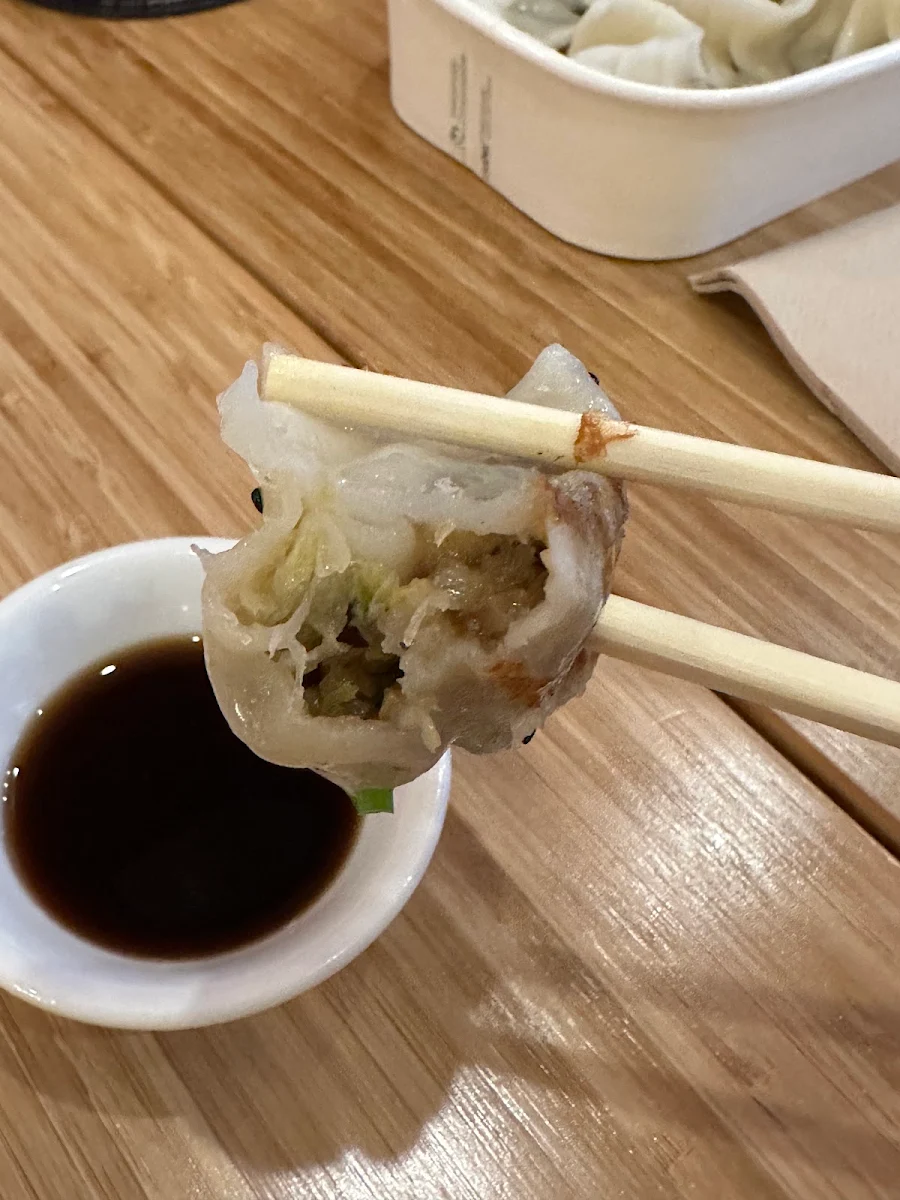 Vegetarian Pan Fried Dumplings