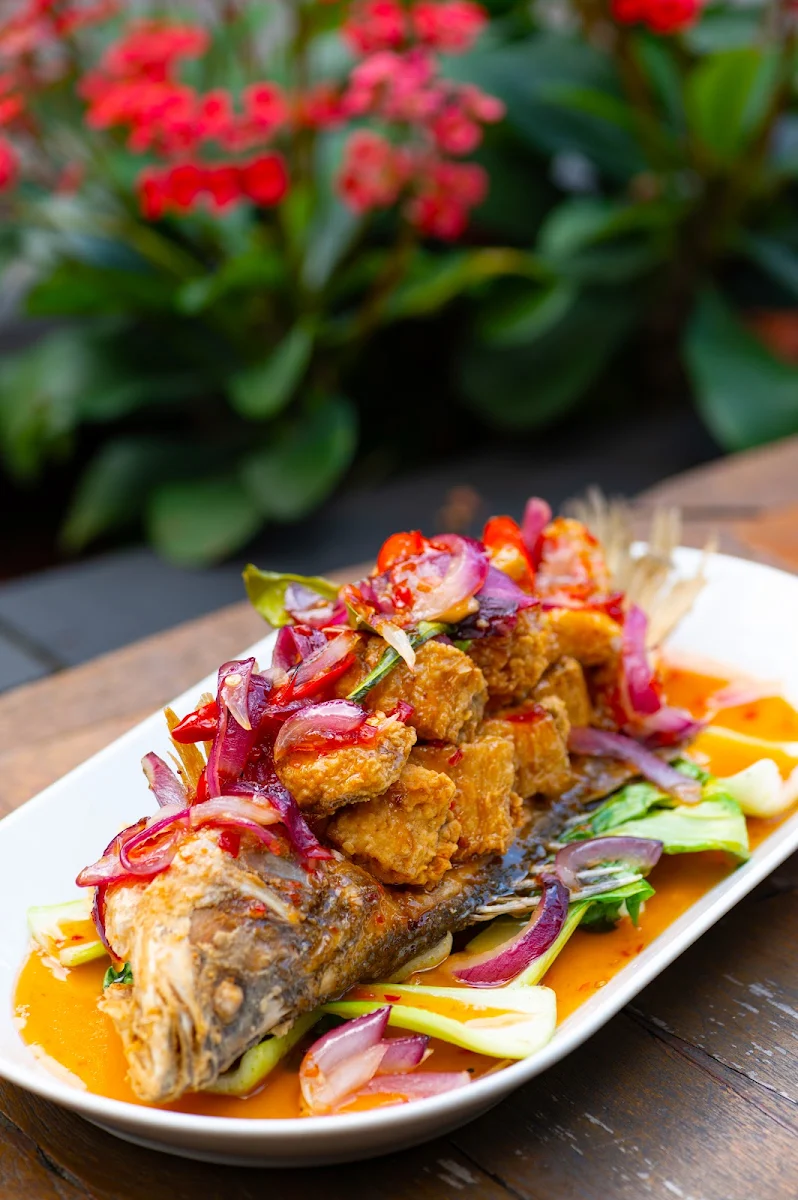 Dressing, Thai Paragon Bankstown