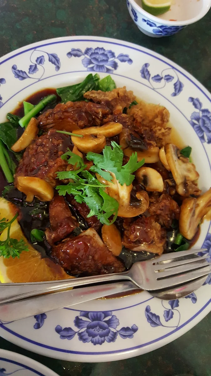 Duck with Mushroom Sauce
