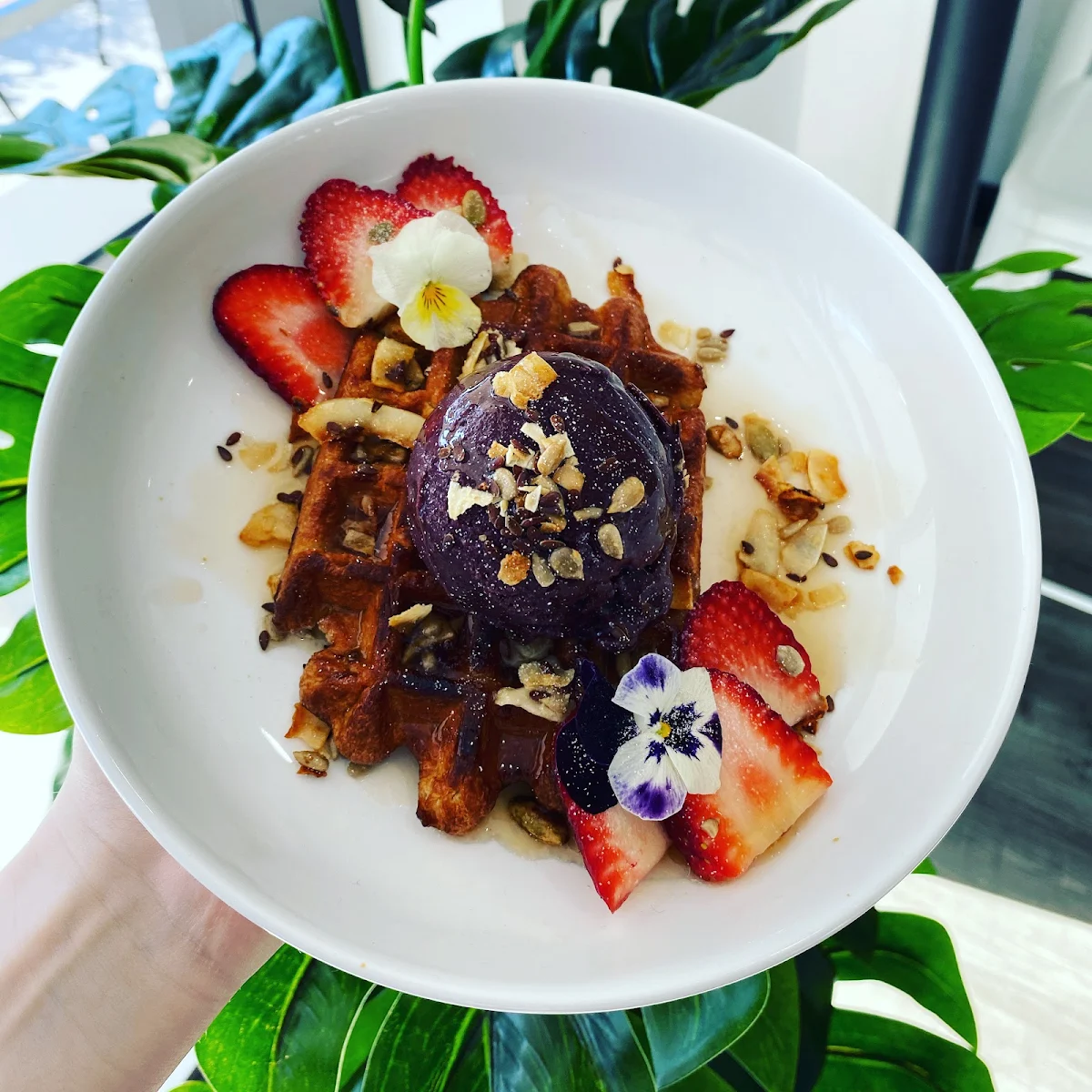 Acai Belgium Waffle