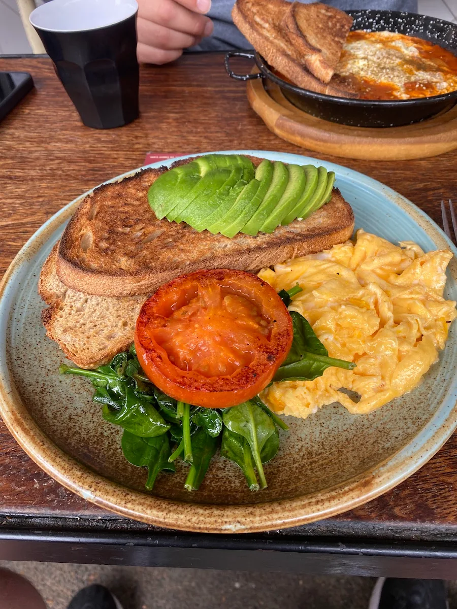 Scrambled Eggs on Toast with Avocado