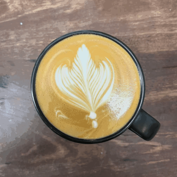 Highlights, Therapy Coffee Roasters