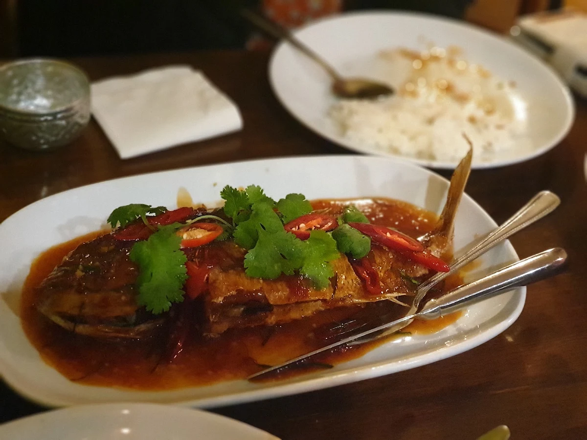 Fish, Orchid Thai Cuisine